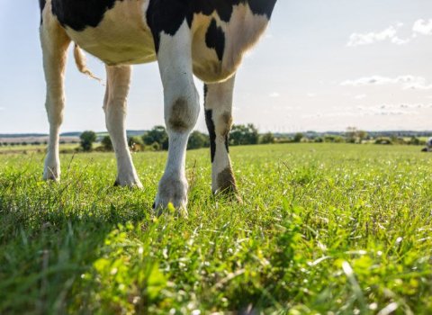 €1.4m project to measure carbon-harvesting potential of Irish soil