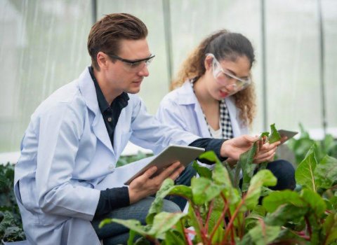 Limerick dairy research gets €14m funding to boost sustainability