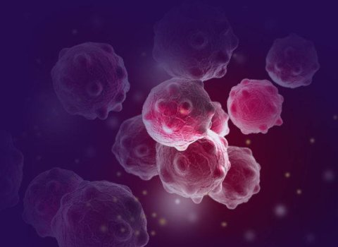 Study identifies nine specific genes associated with breast cancer risk