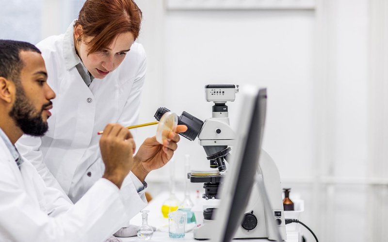 Almost half of Novartis associates hold master’s degrees while 17% hold a PhD