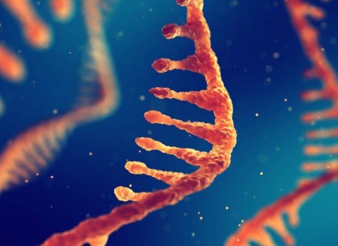 Irish scientists use CRISPR to unlock potential soft tissue cancer treatment