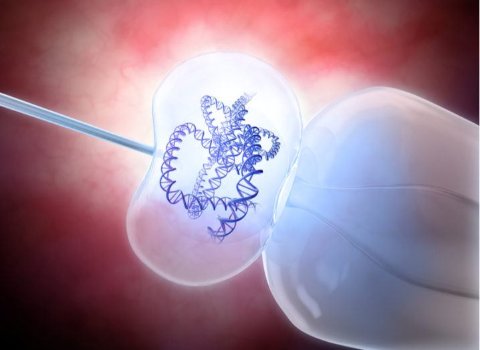 Irish biopharma company and UCD to use gene therapy for rare skin disorder